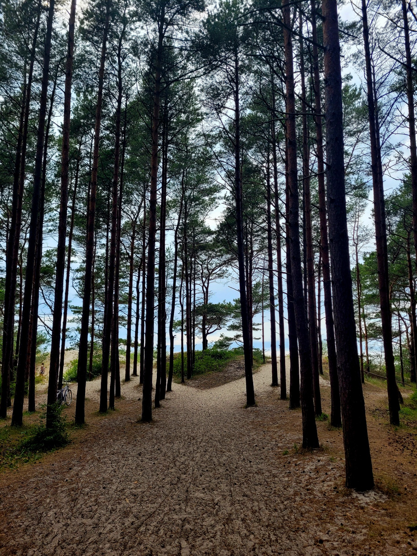 Nimmersatt und Immersatt, wo das Deutsche Reich ein Ende hat