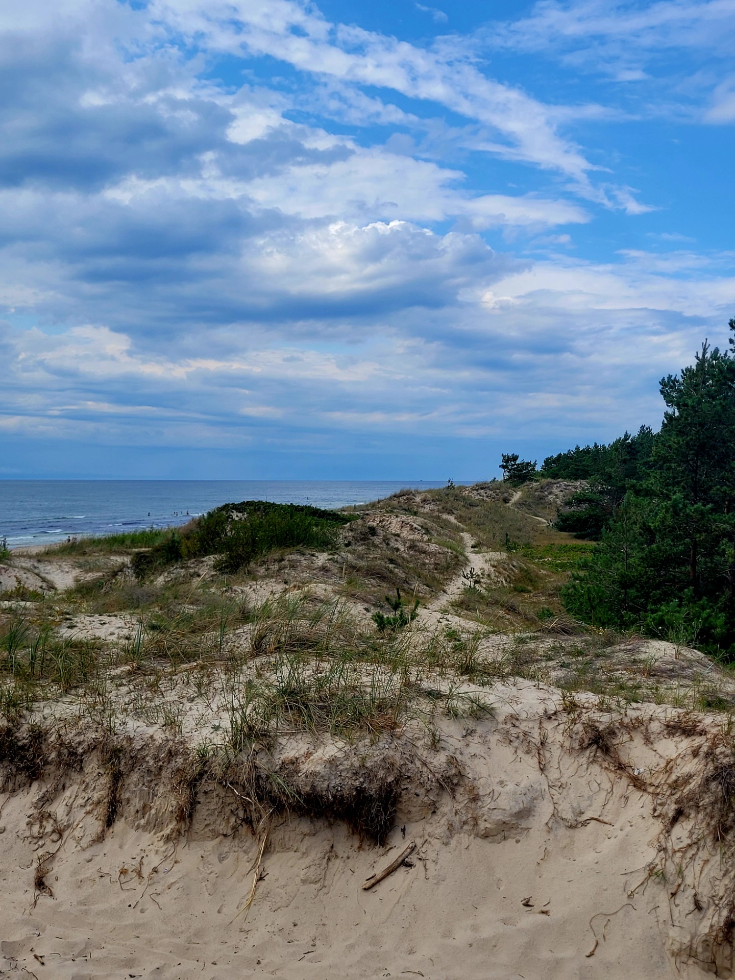 Echoes of East Prussia; Landscapes in the German Soul