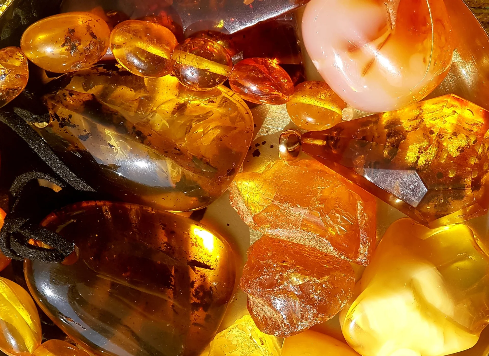 The Thrill of Amber - Germany's Historical East - a Plea for Humanity